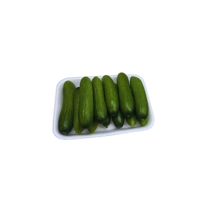 מלפפון ביביי 