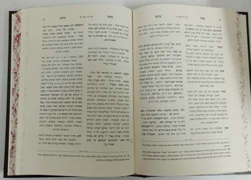 פתח עינים על ספרא דצניעותא ב-ה ר' דב טורק
