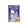 פאוץ' בריט דליקט לחתול סלמון בג'לי 85 גרם Brit