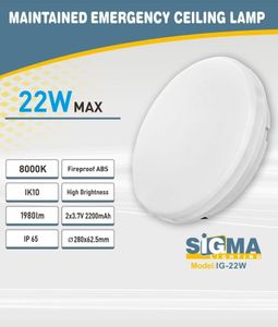 גוף תאורה מוגן מים חירום 22W צמוד תקרה SIGMA