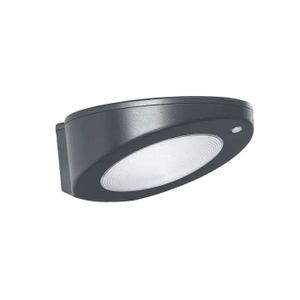 פנס סולארי גולף 2.5W שחור SEMICOM - אור יום