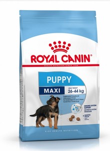 רויאל קנין Royal canin לכלב-מקסי פאפי-12 ק"ג