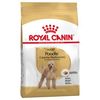 רויאל קנין Royal canin לכלב-פודל בוגר- 1.5 ק"ג