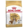 רויאל קנין Royal canin לכלב-קינג צ'ארלס בוגר- 1.5 ק"ג