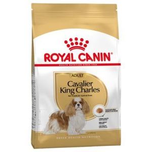 רויאל קנין Royal canin לכלב-קינג צ'ארלס בוגר- 1.5 ק"ג