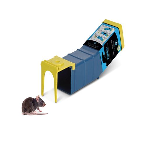 מלכודת נדנדה הומנית לעכברים וחולדות DeBUG