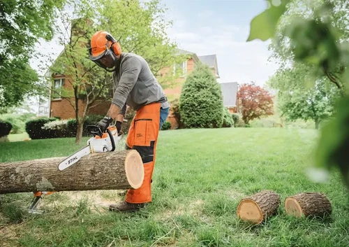 כלי גינון STIHL: מבחר מקצועי ואיכותי לכל צורך