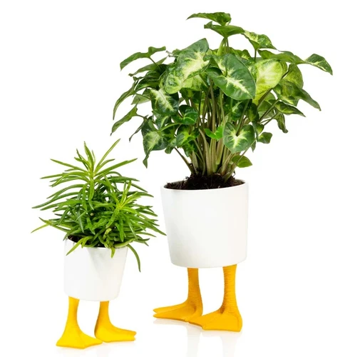 גלי לעציץ מעוצב רגלי ברווז קטן Duck Feet Planter S