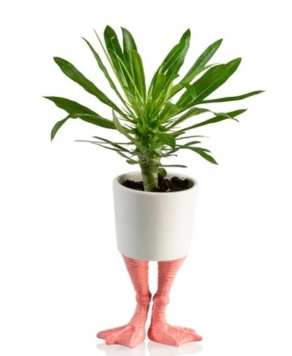 גלי לעציץ מעוצב רגלי פלמינגו קטן Flamingo Feet Planter S