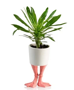 גלי לעציץ מעוצב רגלי פלמינגו קטן Flamingo Feet Planter S
