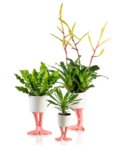 גלי לעציץ מעוצב רגלי פלמינגו קטן Flamingo Feet Planter S