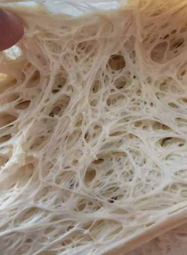 מארז 5 כדורי בצק לפיצה 