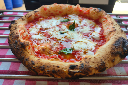 מארז 5 כדורי בצק לפיצה 