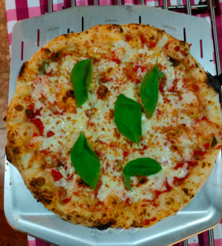 מארז 5 כדורי בצק לפיצה 