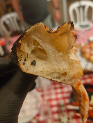 מארז 5 כדורי בצק לפיצה 