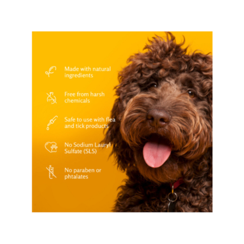 שמפו מרגיע שיבולת שועל בניחוח וניל קוקוס ARM AND HAMMER
