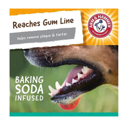צעצוע גורילה דנטלי לכלבים Arm & Hammer