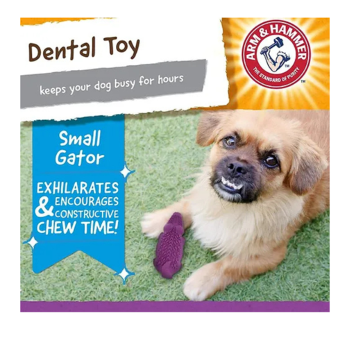 מיני תנין צעצוע לעיסה דנטלי לכלבים Tread ARM & HAMMER