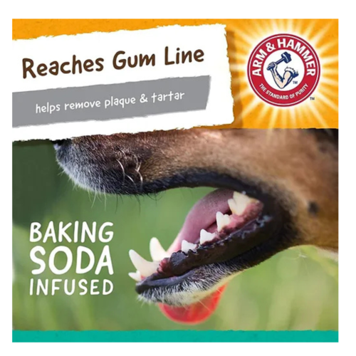 צעצוע גורילה דנטלי לכלבים גדולים Arm & Hammer