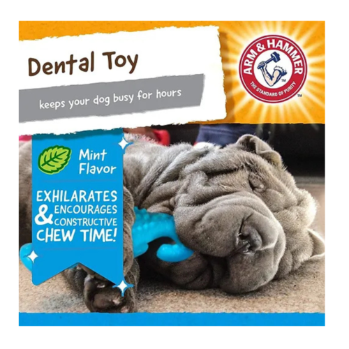 צעצוע לעיסה תנין בטעם מנטה Arm & Hammer