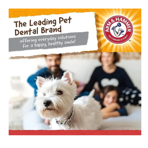 צעצוע עצם המשאלה לבריאות השן בטעם עוף Arm & Hammer