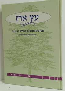 עץ ארז