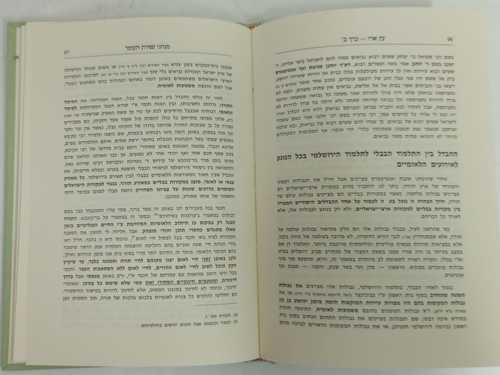 עץ ארז
