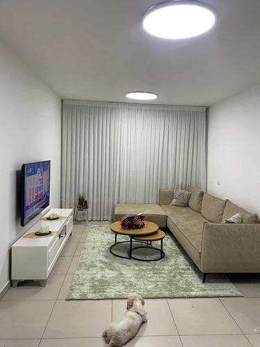 שטיח שאגי מעוצב צבע ירוק פיסטוק מידות לבחירה