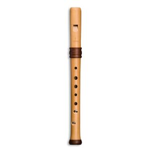 Mollenhauer 4119 Adris Dream Recorder
