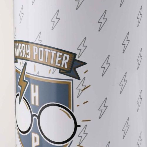 בקבוק נירוסטה - Harry Potter