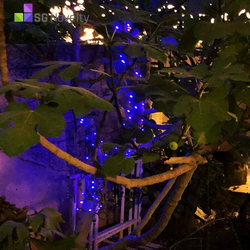 זוג שרשראות תאורה סולארית - 100 נורות לד  אור כחול