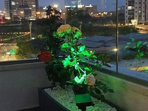 ספוט דוקרן סולארי מחליף צבעים 7 לדים