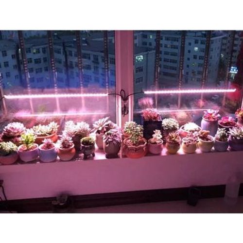 תאורת סולארית - ספקטרום UV לגידול צמחים