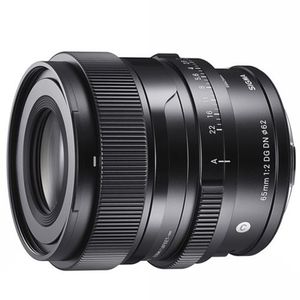  SIGMA 65mm F2 DG DN | C For L-Mount שפע 