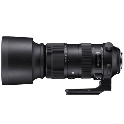  SIGMA 60-600mm F4.5-6.3 DG OS HSM | Sport For Canon EF 