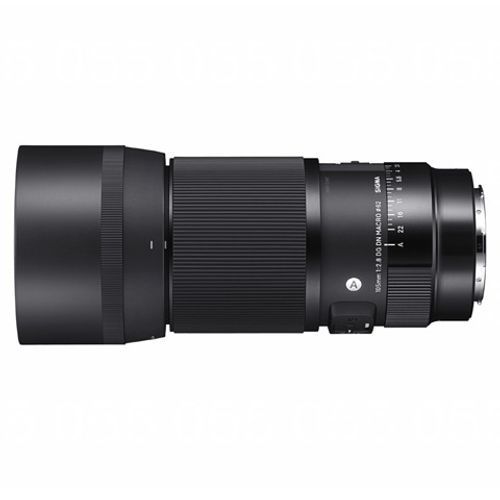  Sigma 105mm F2.8 dg DN Macro Art For L-Mount - שפע 