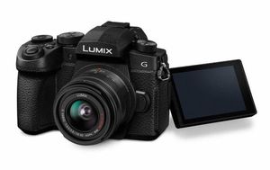  Panasonic Lumix DC-G95 + 14-42mm 