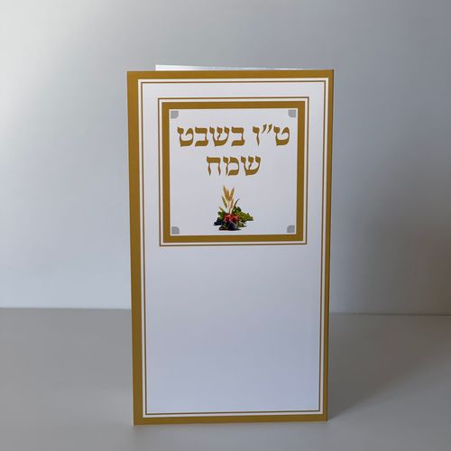 סדר ט