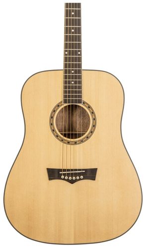 גיטרה אקוסטית פיוי PEAVEY DW-1 עם תיק נשיאה