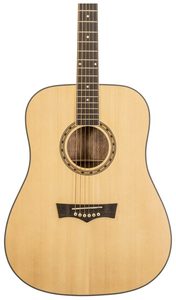 גיטרה אקוסטית פיוי PEAVEY DW-1 עם תיק נשיאה