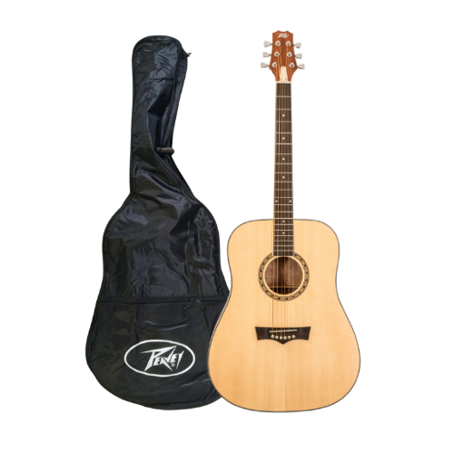 גיטרה אקוסטית פיוי PEAVEY DW-1 עם תיק נשיאה