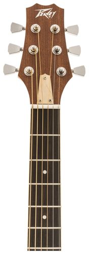 גיטרה אקוסטית פיוי PEAVEY DW-1 עם תיק נשיאה