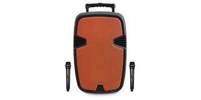 בידורית קריוקי Pure Acoustics PMW-3012 