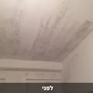 דריילוק 15 – אקסטרים צבע נגד רטיבות ועובש 3.78 ליטר