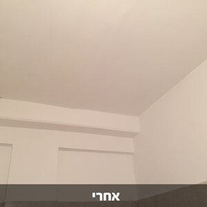 דריילוק 15 – אקסטרים צבע נגד רטיבות ועובש 3.78 ליטר