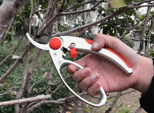 מזמרה לגינה איכותית 200 מ