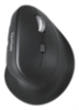 עכבר אלחוטי ארגונומי MW614 ViewSonic