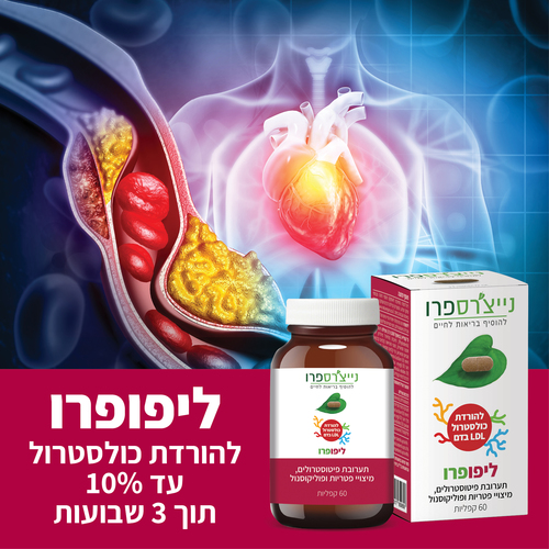 ליפופרו