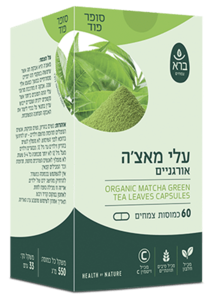 עלי מאצ