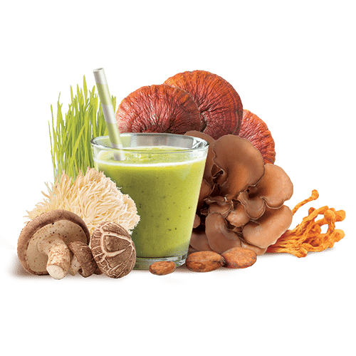 אבקת פורמולת גרין שייק | GREEN SHAKE FORMULA